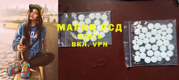 твердый Ельня