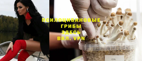 гидра Баксан